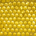 Bright yellow honey comb texture macro closeup Royalty Free Stock Photo