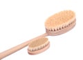 Natural bristle body brush with detachable long handle