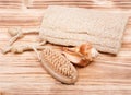 Natural bristle hand and nail wooden brush, loofah sponge and shell Royalty Free Stock Photo