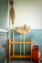 Natural brooms