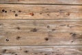 Natural rustic brown barn wood wall. Wall texture background pattern.