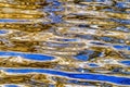 Natural Brown Blue Patterns Reflection Abstract Juanita Bay Kirkland Washington