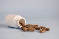 Natural brown capsules with pressed medicinal herb,pills in open upturned plastic jar on table front. Alternative medicine concept Royalty Free Stock Photo