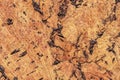 Natural Brown Cork Tile Grunge Texture Royalty Free Stock Photo