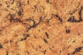 Natural Brown Cork Tile Grunge Texture Royalty Free Stock Photo