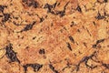 Natural Brown Cork Tile Grunge Texture Royalty Free Stock Photo