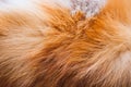 Natural brown fox fur.