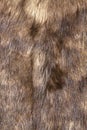 Natural brown fur texture Royalty Free Stock Photo