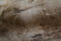 Natural brown fur texture background Royalty Free Stock Photo