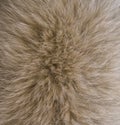 Natural brown fur texture close-up Royalty Free Stock Photo