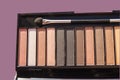 Natural brown Nude eyeshadow palette close-up, with tassel isolated on bright Burgundy background