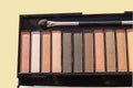 Natural brown Nude eyeshadow palette close-up, with tassel isolated on yellow pastel background