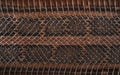 Natural brown python leather as background. Snakeskin texture pattern