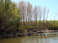 Natural building channels of the Danube 1