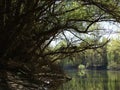 Natural building channels of the Danube 3