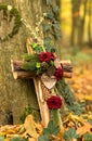 Natural burial, peaceful forest in Germany