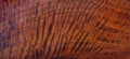 Natural Burma padauk wood has tiger stripe