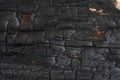 Natural burnt wood texture