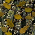 Natural Camouflage Royalty Free Stock Photo