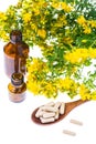 Natural capsules from St. John`s wort