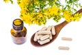 Natural capsules from St. John`s wort Royalty Free Stock Photo