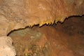 Forbidden Cavern`s Sevier County Tennessee