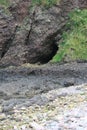 Natural cave on a peddle beach