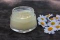 Natural chamomile face cream and fresh daisy flowers on dark rustic wooden background. Homemade beauty product. Royalty Free Stock Photo