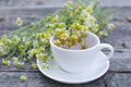 Natural chamomile tea
