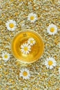 Natural chamomile yellow organic herbal tea in