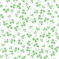 Natural Chamrock Texture. Clover Leaves Royalty Free Stock Photo