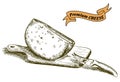 Natural cheese sketches