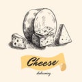 Natural cheese. slice of cheese. cheesemaking Royalty Free Stock Photo