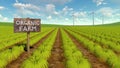 Natural chemical free organic eco farm field 3D