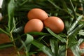 natural chicken egg on wooden table, rustic free range chicken natural farm food yolk and white of bird animal