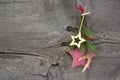 Natural christmas decoration with antler and checked star