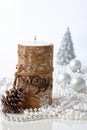 Natural christmas decoration