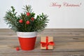 Natural Christmas decoration and Christmas gift Royalty Free Stock Photo