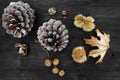 Natural christmas decoration of pine cones, leaves, chestnuts an