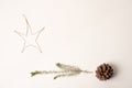 Natural Christmas elements, star with pinnace, bush branch and pine cone. space to write