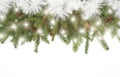Natural Christmas layout of Christmas tree branches, cones and golden Christmas lights with bokeh on isolated white
