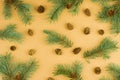 Natural christmas pattern from fir twigs and cones on beige background. Evergreen needles backdrop Royalty Free Stock Photo