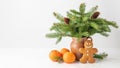 Natural christmas tree branches with cones in retro clay jug vase, baked gingerbread man and fresh tangerines on marble table Royalty Free Stock Photo