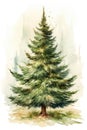 Natural Christmas tree. Watercolor illustration. Generative AI