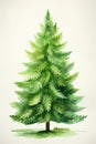 Natural Christmas tree. Watercolor illustration. Generative AI