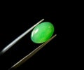 Natural Chrysoprase Gems Stone oval cut beautiful.Holding a green stone by tweezers