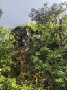 Natural cliff with lush green vegetation Royalty Free Stock Photo