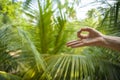 Natural close up hand of woman doing yoga in mudra gyan fingers position isolated on beautiful tropical nature background in Royalty Free Stock Photo