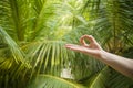 Natural close up hand of woman doing yoga in mudra gyan fingers position isolated on beautiful tropical nature background in Royalty Free Stock Photo