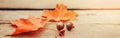 Natural closeup background with red autumn fall maple leaves and acorns on wooden planks.